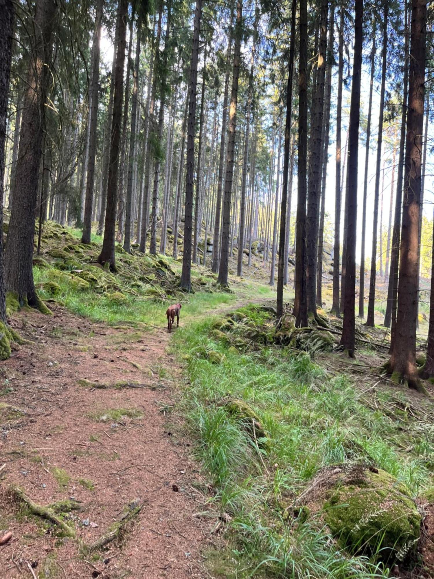 Na Nebi 187 Bečov nad Teplou Exterior foto