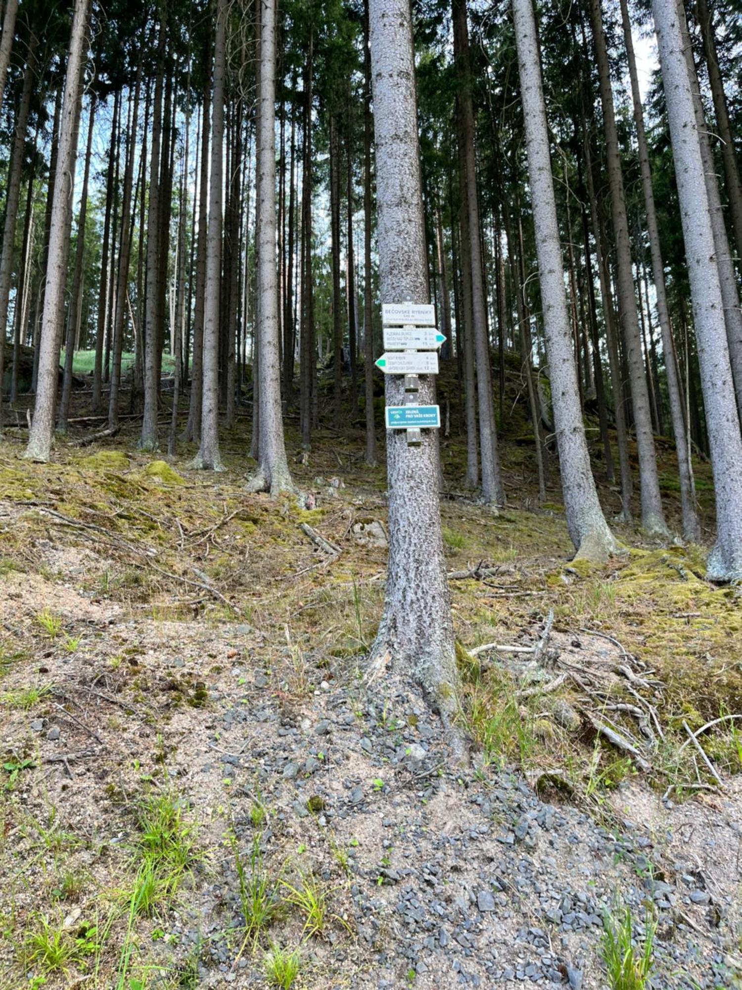 Na Nebi 187 Bečov nad Teplou Exterior foto